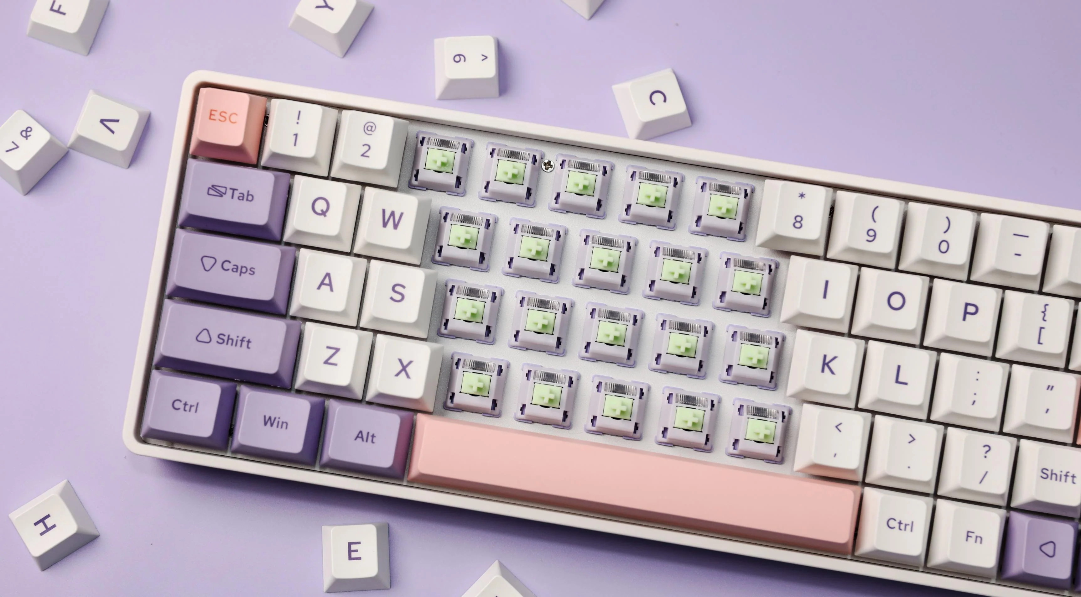 EPOMAKER Wisteria Switches Set