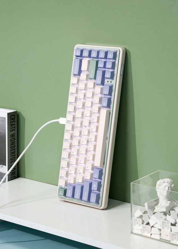 Varmilo Minilo VXH67 Eucalyptus 65% Wired Hotswap White LED Keyboard - Switch:Cherry MX Speed Silver